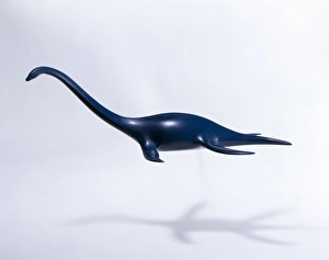 Extinct/Plesiosaurs
