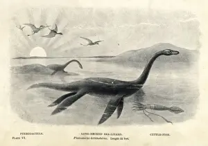 Paleontology Prints: Plesiosaurus dolichodeirus with cuttlefish and pterodactyls