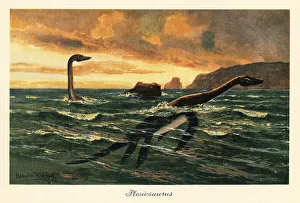 Plesiosaur Prints: Plesiosaurus dolichodeirus in the ocean