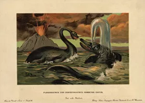 Plesiosaurus, extinct aquatic carnivore