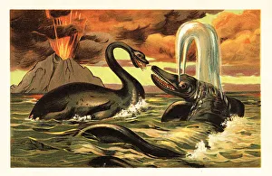 Battling Prints: Plesiosaurus and Ichthyosaurus battling in front of an erupting