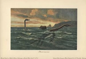 Plesiosaurus, large marine sauropterygian reptile