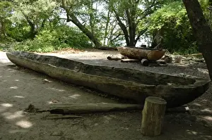 Plimoth Plantation or Historical Museum. Canoe. Plymouth. Ma