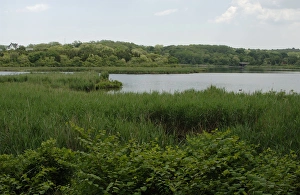 Images Dated 9th June 2008: Plimoth Plantation or Historical Museum. Eel river estuary