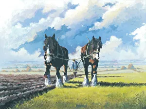 Plough team