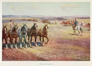 Ploughing, Australia