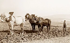 Ploughing early 1900s
