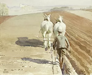 Ploughing a field