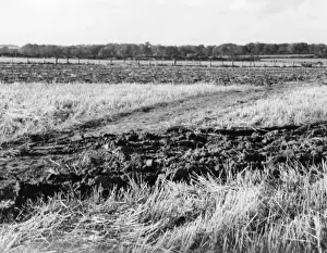 Ploughing a Field