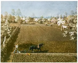 Symmetry Prints: Ploughing in Germany