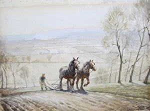 Images Dated 11th July 2011: Ploughing with a horse team