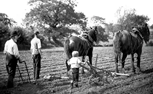 Ploughing with horses