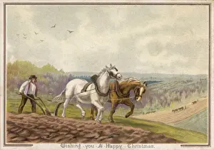 Ploughing with Horses