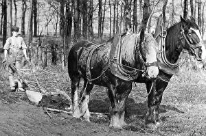 Crafts Collection: Ploughing with horses Victorian period