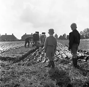 Ploughing Prints: Ploughing Match, England