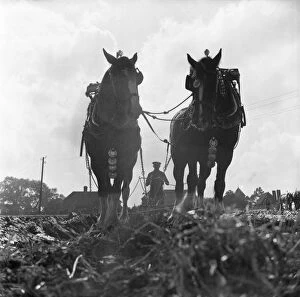 Ploughing Match, England