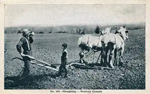 Ploughs Prints: Ploughing in Western Canada - Farmer and son take a break