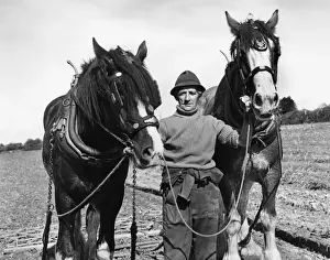 Ploughman with two horses, Hayle, Cornwall