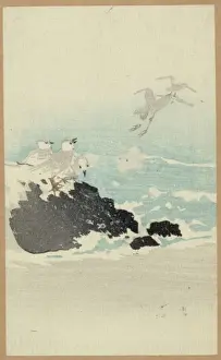 Plovers over waves
