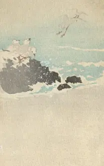Plovers Prints: Plovers over waves