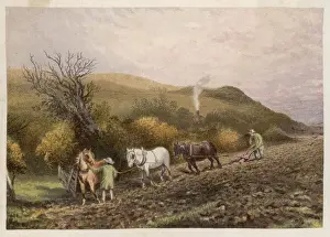 PLOWING WITH HORSES