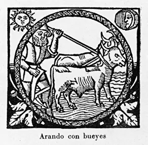 Plowing, Spain 1511