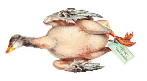 Images Dated 3rd December 2015: Plucked goose on a cutout Christmas card