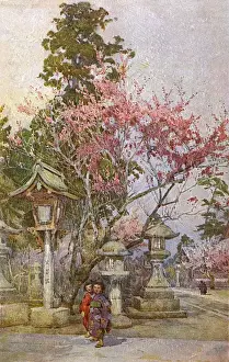 Blossoms Prints: Plum Blossom and Stone Lanterns, Japan