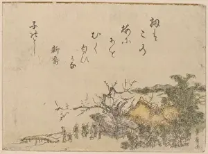 Farm House Prints: Plum tree of a country farmhouse