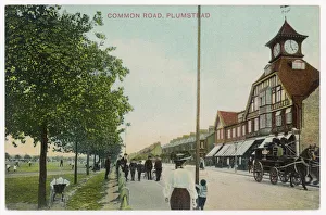 Branch Collection: Plumstead Common Road