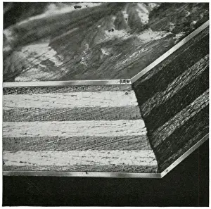 Copper Prints: Plymax cross-section, plywood board from Venesta Limited