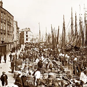 Barbican Prints: Plymouth - The Barbican