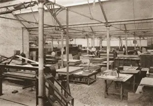 Plywood Prints: Plywood Manufacture at Merxplas Labour Colony, Belgium