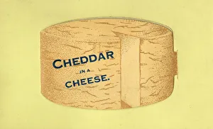 Pocket Novelty Card postcard - Cheddar in a cheese