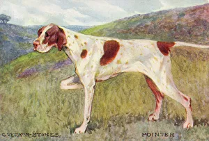 Pointer Prints: Pointer