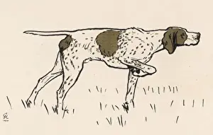 Pointer Prints: Pointer by Aldin