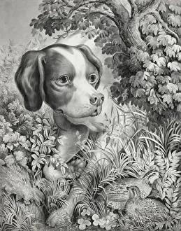Pointer Prints: Pointing a bevy