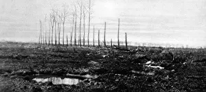 Poisoning Prints: The Poisoning of Langemarck
