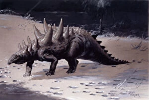 Ankylosaur Gallery: Polacanthus