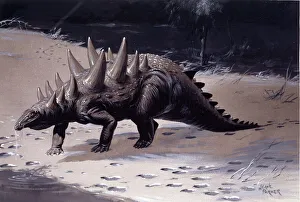 Dinosauria Collection: Polacanthus