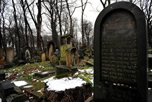 Stele Collection: Poland. Krakow. Jewish cemetery
