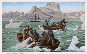 Alaskan Gallery: Polar Bear Hunting in Alaska, USA