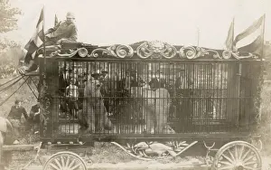 Circuses Prints: Polar bears in a cage at Washington D. C. circus