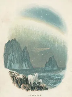 1835 Prints: Polar Sky with Bears