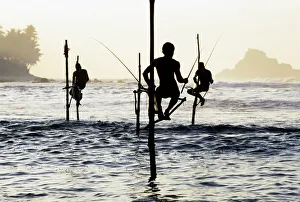 Stilt Collection: Pole fishermen, Sri Lanka - 1