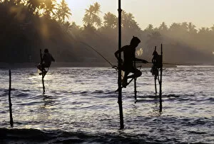 Stilt Collection: Pole fishermen, Sri Lanka - 3