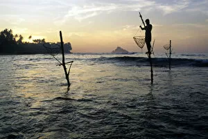 Stilt Collection: Pole fishermen, Sri Lanka - 5