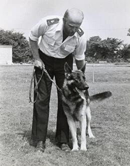 Images Dated 17th February 2020: Police dog handler and dog, Camborne, Cornwall