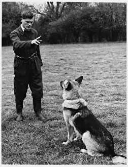 Handling Prints: Police Dog Trainer
