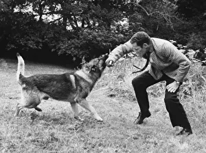 Police Dog Training